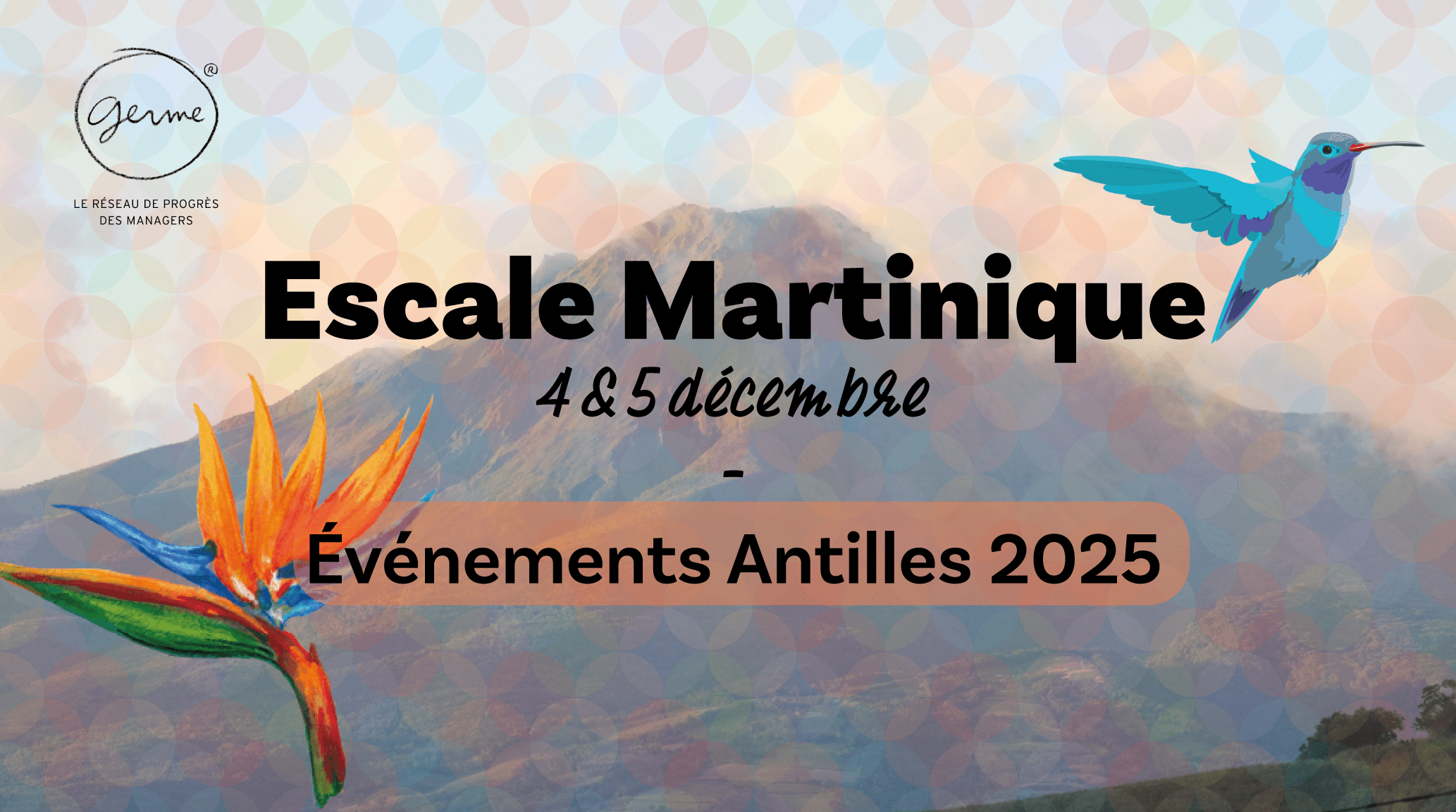 seminaire-martinique-management