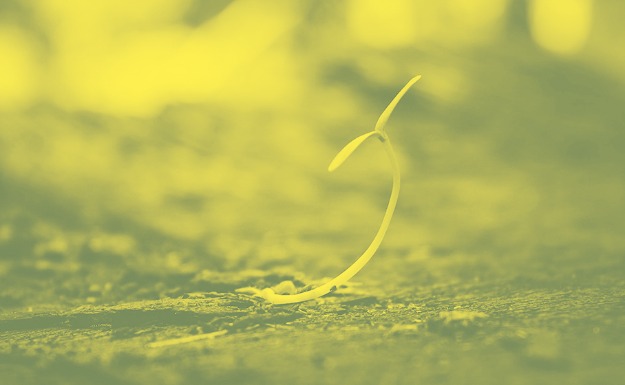 robustesse-vivant-olivier-hamant-germe