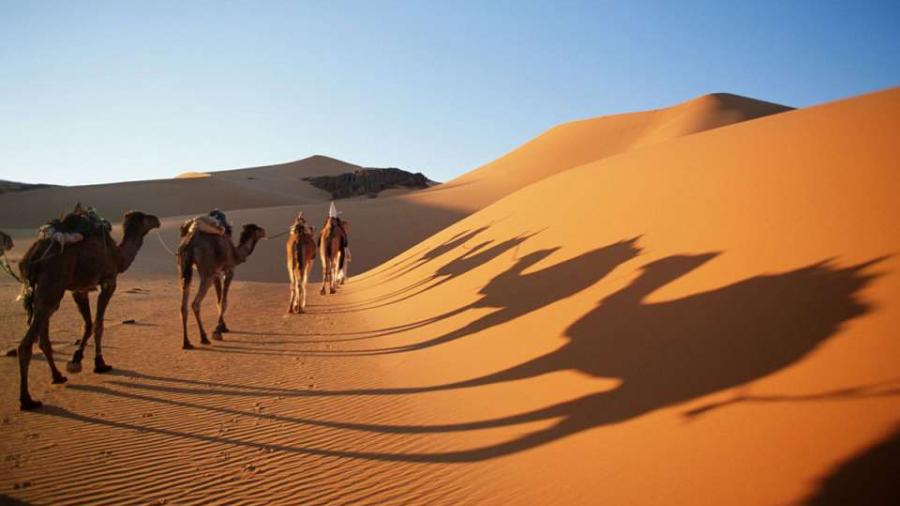 Destination Sahara, résidentiel d'alignement managérial