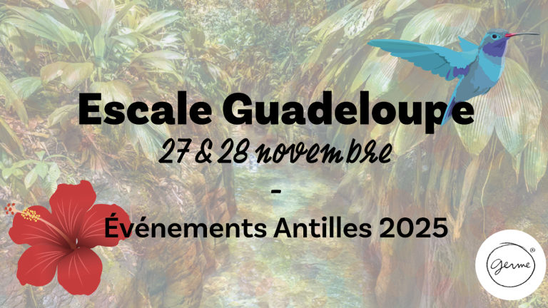 Guadeloupe-evenement-manager-novembre
