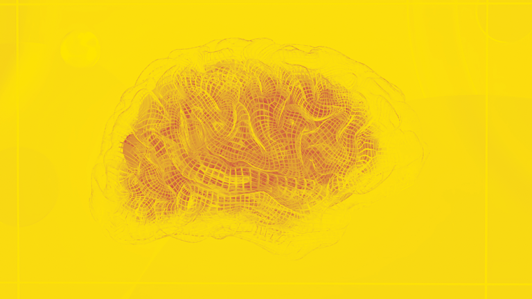 cerveau-management-neurosciences