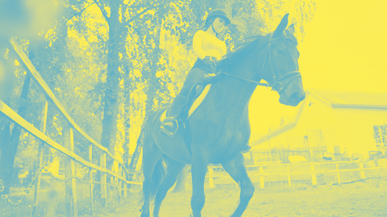 equicoaching