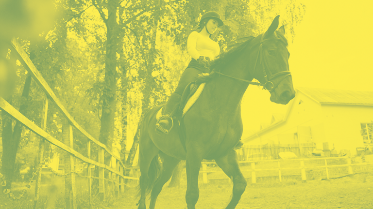 equicoaching